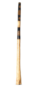 Jesse Lethbridge Didgeridoo (JL284)